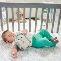 Fisher-Price NB CALMING VIBES HEDGEHOG SOOTHER - WB