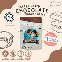 Hanya Freeze-Dried Yogurt Chocolate 30gm - Astra Family