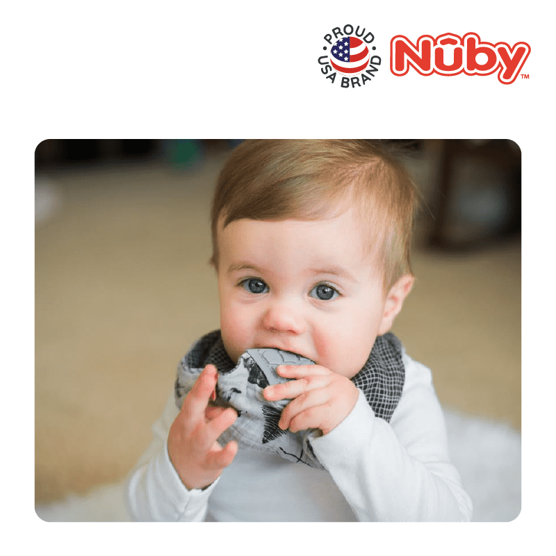 Astra Family A baby is chewing on a nuby chew toy.