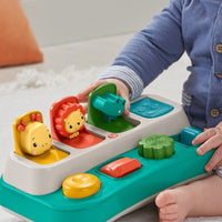 Fisher-Price INFANT BUSY BUDDIES POP-UP
