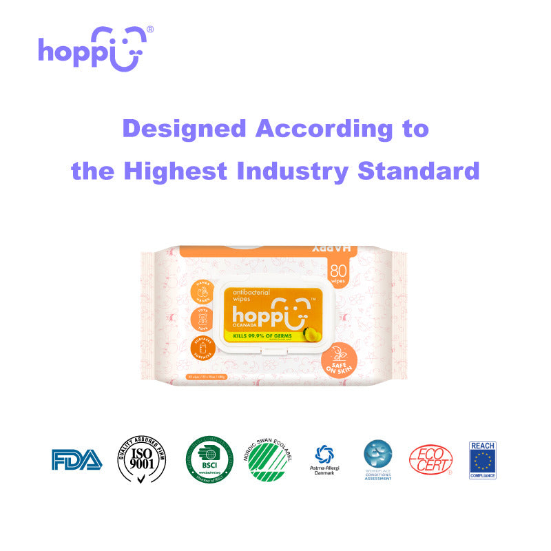 Hoppi 80 Sheets 3-In-1 Bundle Pack Antibacterial Wet Wipes
