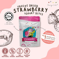 HANYA Freeze-dried Strawberry Yogurt Bites (30g) - Astra Family