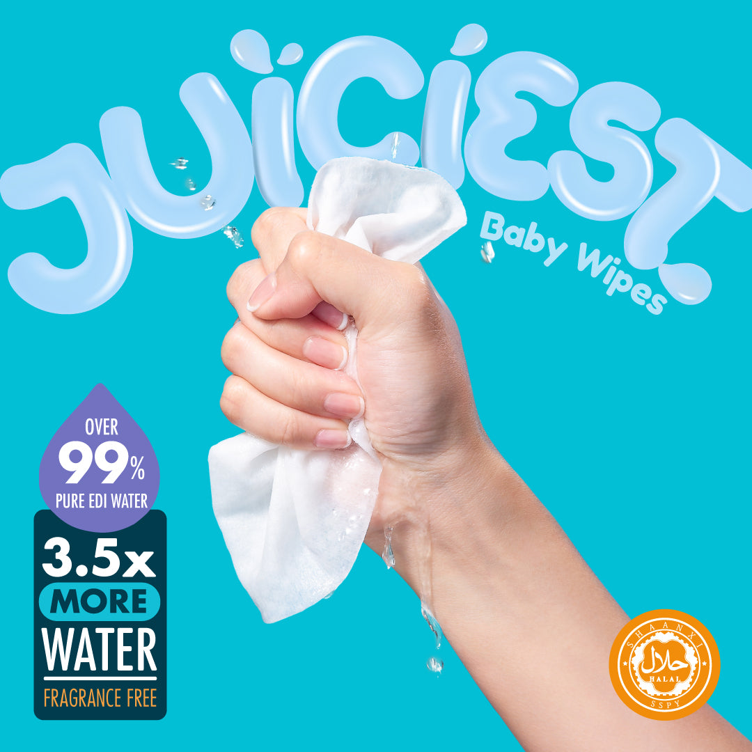 Hoppi Wet Wipes - 80 Sheets-3 in 1 Bundle Pack (with White Cap)