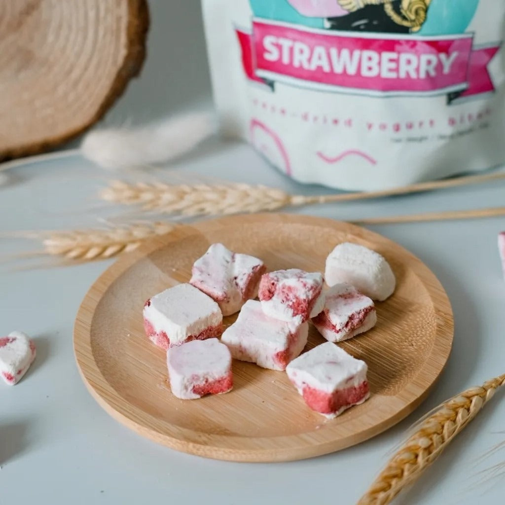 HANYA Freeze-dried Strawberry Yogurt Bites (30g) - Astra Family