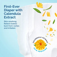 [CARTON] Hoppi AirDream Baby Diaper Pants