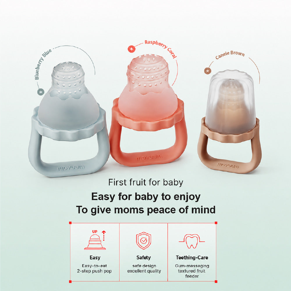 Moyuum Easy Pop Baby Fruit Feeder Teether