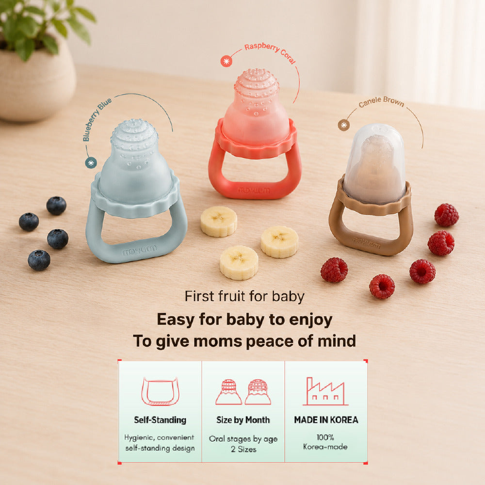 Moyuum Easy Pop Baby Fruit Feeder Teether