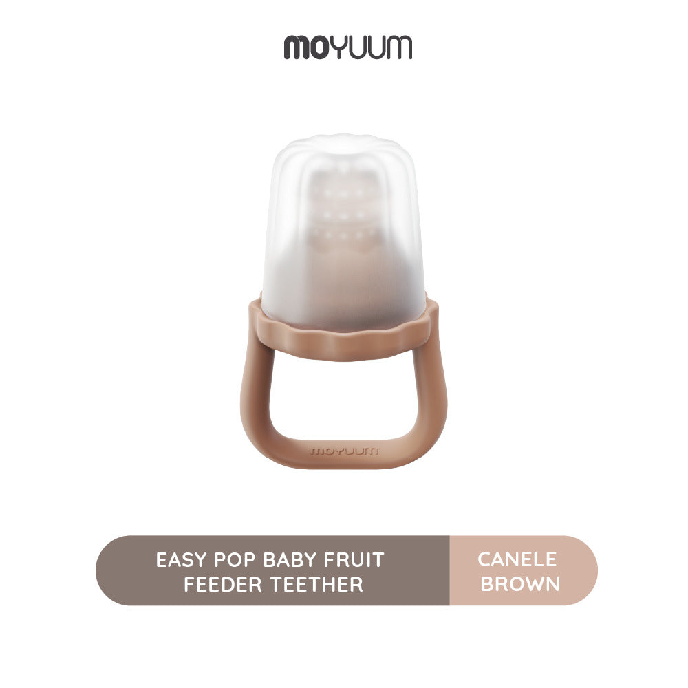 Moyuum Easy Pop Baby Fruit Feeder Teether