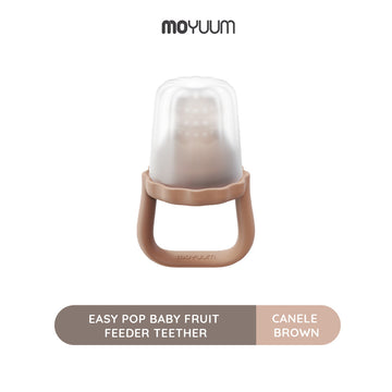 Moyuum Easy Pop Baby Fruit Feeder Teether