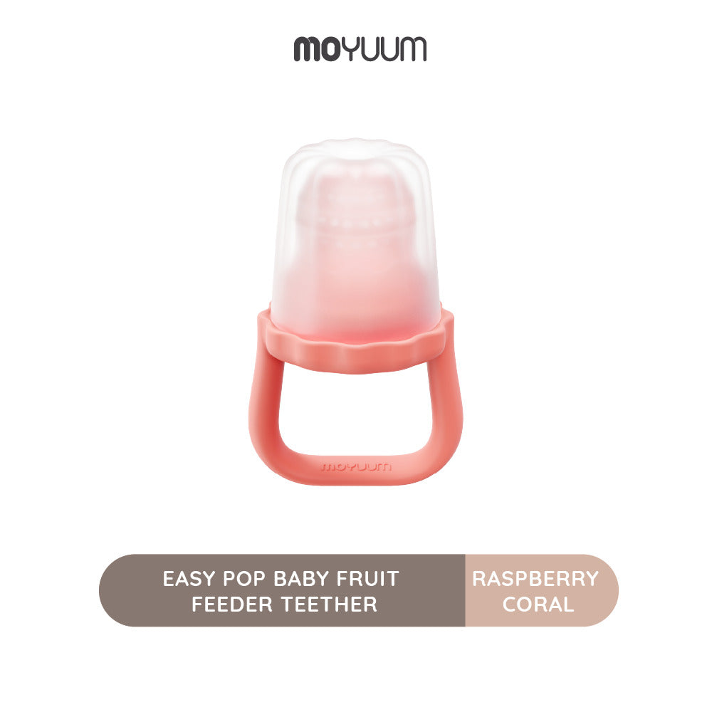 Moyuum Easy Pop Baby Fruit Feeder Teether