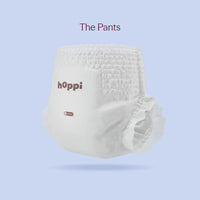 Play Diaper (Carton)