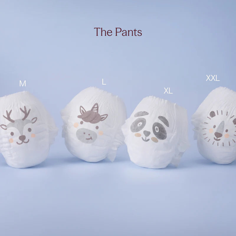 Play Diaper (Carton)