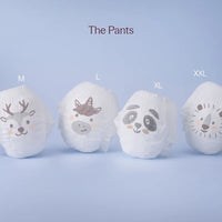 Play Diaper (Carton)