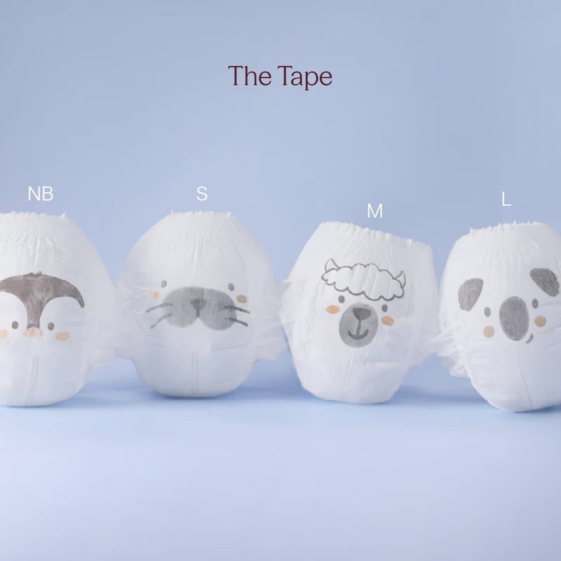 Play Diaper (Carton)