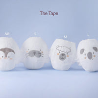Play Diaper (Carton)