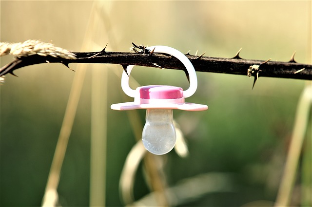 Astra Family A pacifier hanging from a branch in a field, To Dummy or NOT to Dummy.
