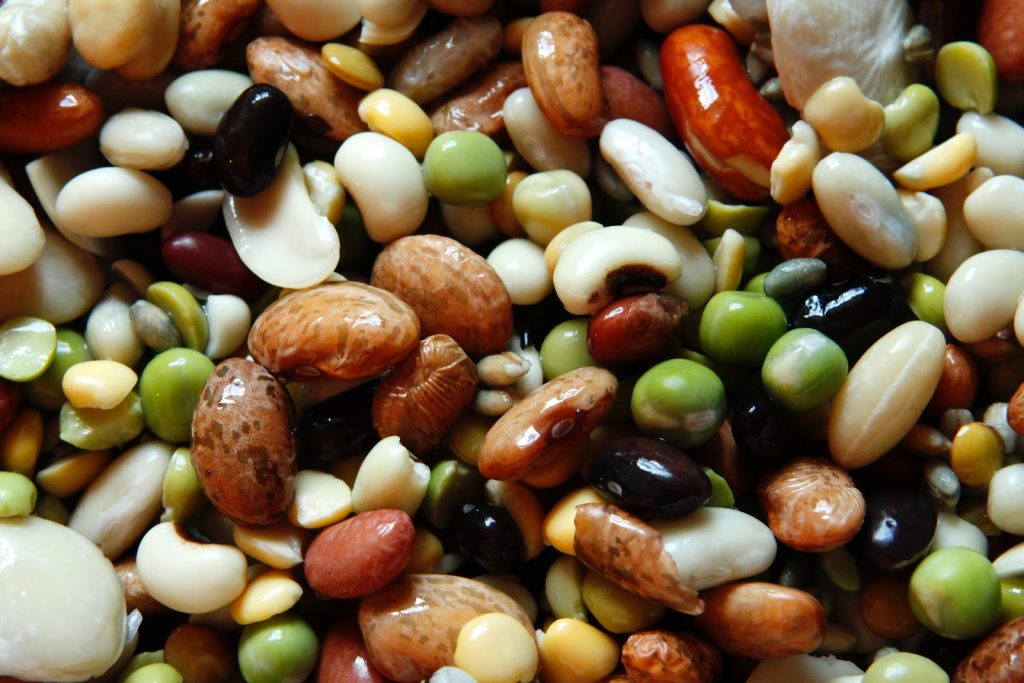 Astra Family A close up image of a nutritious pile of legumes and lentils, perfect for your baby.